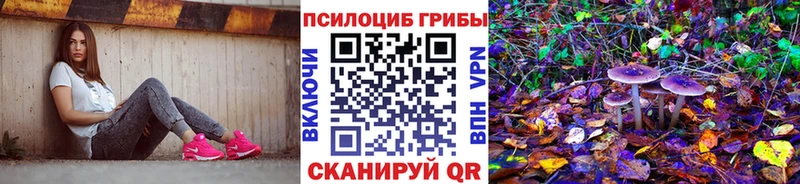 KRAKEN зеркало  Бирск  Псилоцибиновые грибы Psilocybe 